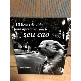 10 Lições de Vida para Aprender com o Seu Cão