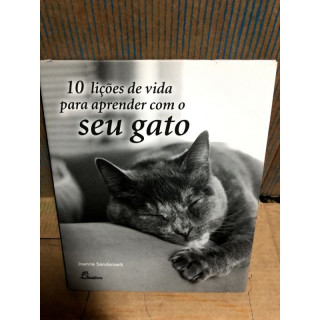 10 Lições de Vida para Aprender com o Seu Gato